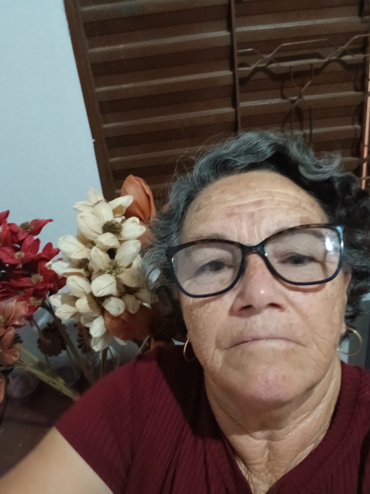 Dona Santinha